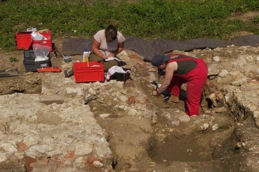 Probennahme Probennahme