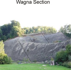 Untersuchung der Tektonik und Stratigraphie im Steirischen Becken