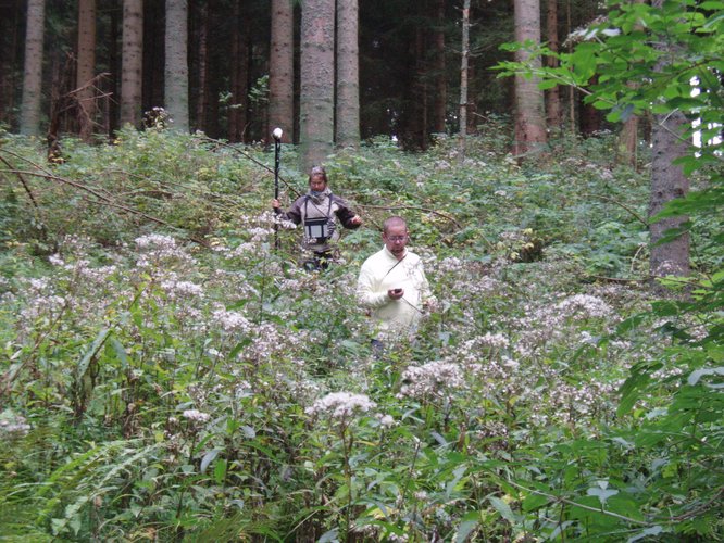 Geomagnetische Messung