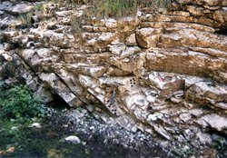 Paläomagnetische Beprobung in den Kalkalpen (Faltentest)