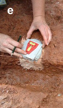 Orientierung Orientierung